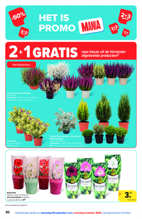 Carrefour Folder 30.09.2026