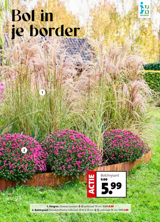 Intratuin Folder 28.09.2026
