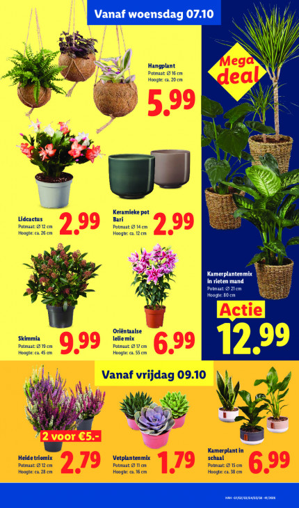 Lidl Folder 05.10.2026