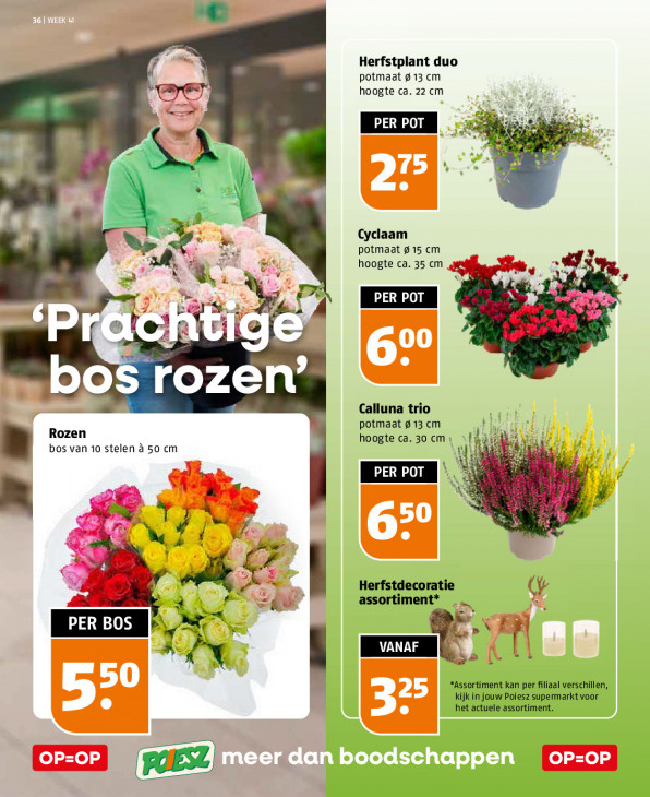 Poiesz Folder 04.10.2026