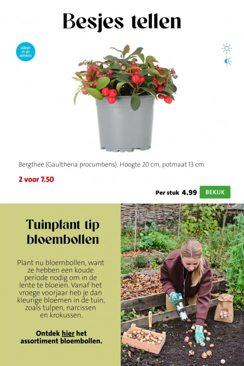 Intratuin Folder 05.10.2026