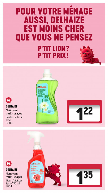 Delhaize Dépliant 08.10.2026