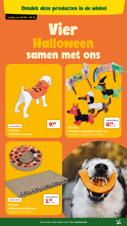 Maxi Zoo Folder 07.10.2026