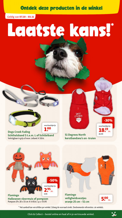 Maxi Zoo Folder 07.10.2026