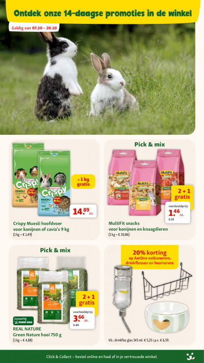 Maxi Zoo Folder 07.10.2026