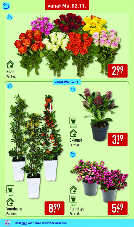 Aldi Folder 02.11.2026